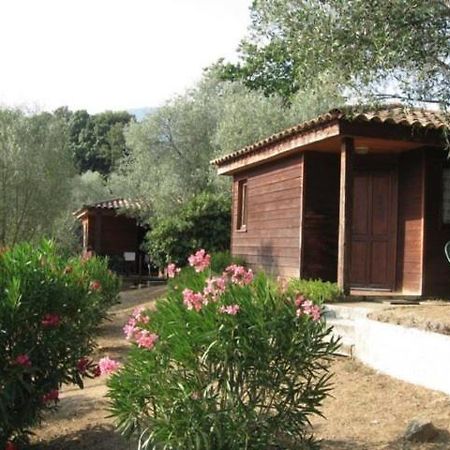 Gites Chalets De Grosseto-Prugna Екстериор снимка