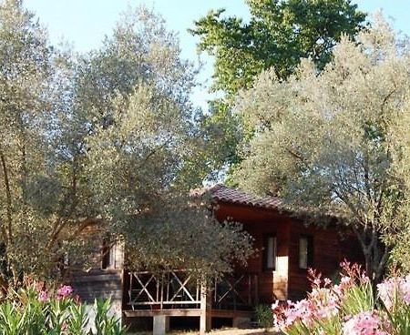 Gites Chalets De Grosseto-Prugna Екстериор снимка