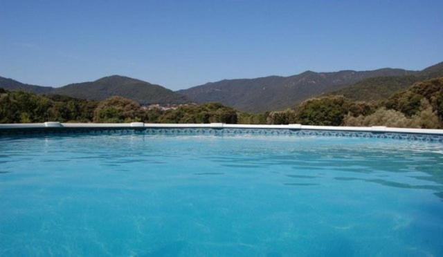 Gites Chalets De Grosseto-Prugna Екстериор снимка