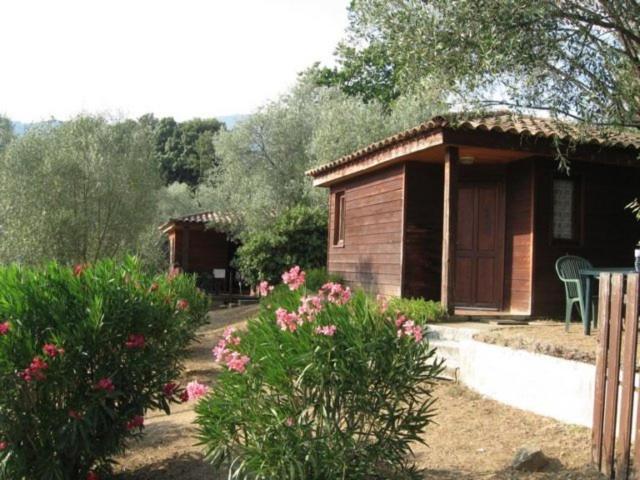 Gites Chalets De Grosseto-Prugna Екстериор снимка