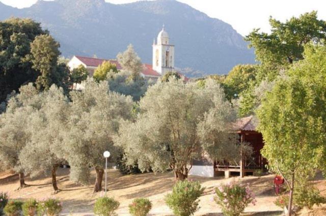 Gites Chalets De Grosseto-Prugna Екстериор снимка