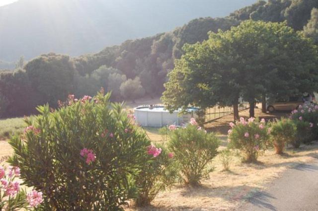 Gites Chalets De Grosseto-Prugna Екстериор снимка