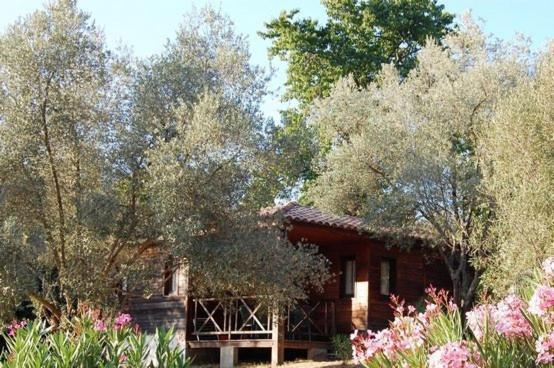 Gites Chalets De Grosseto-Prugna Екстериор снимка