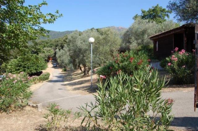Gites Chalets De Grosseto-Prugna Екстериор снимка